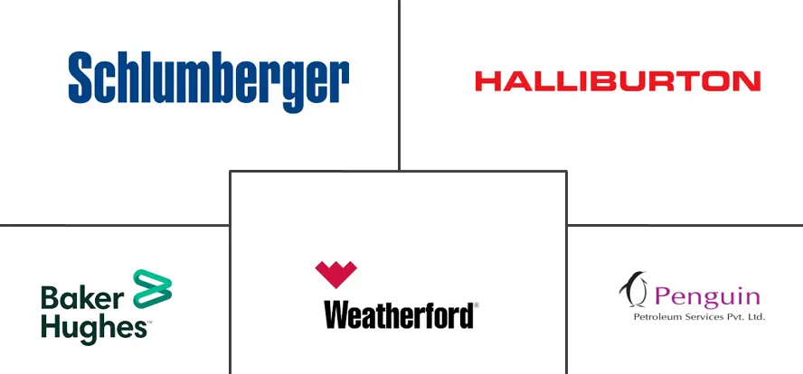 印度人工举升系统市场规模