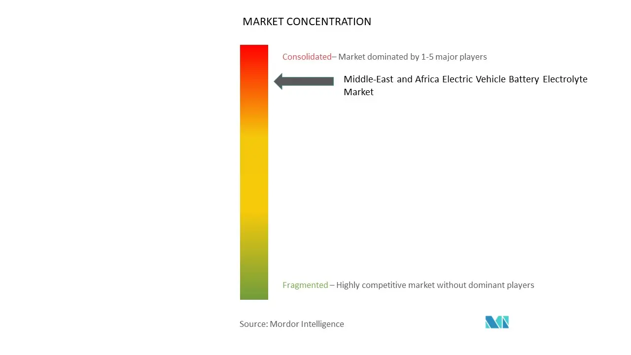 中东和非洲电动汽车电池电解质市场规模和份额分析