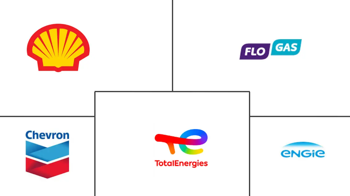 英国液化天然气加注市场规模
