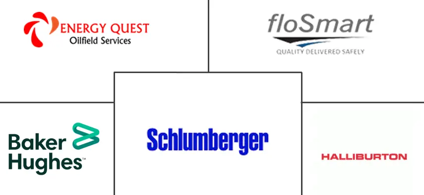 尼日利亚有线测井服务市场规模