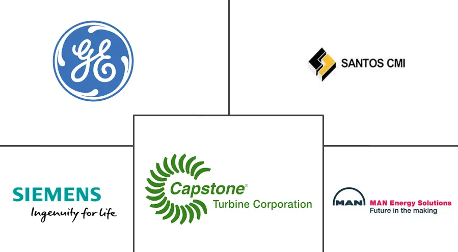 墨西哥热电联产市场规模