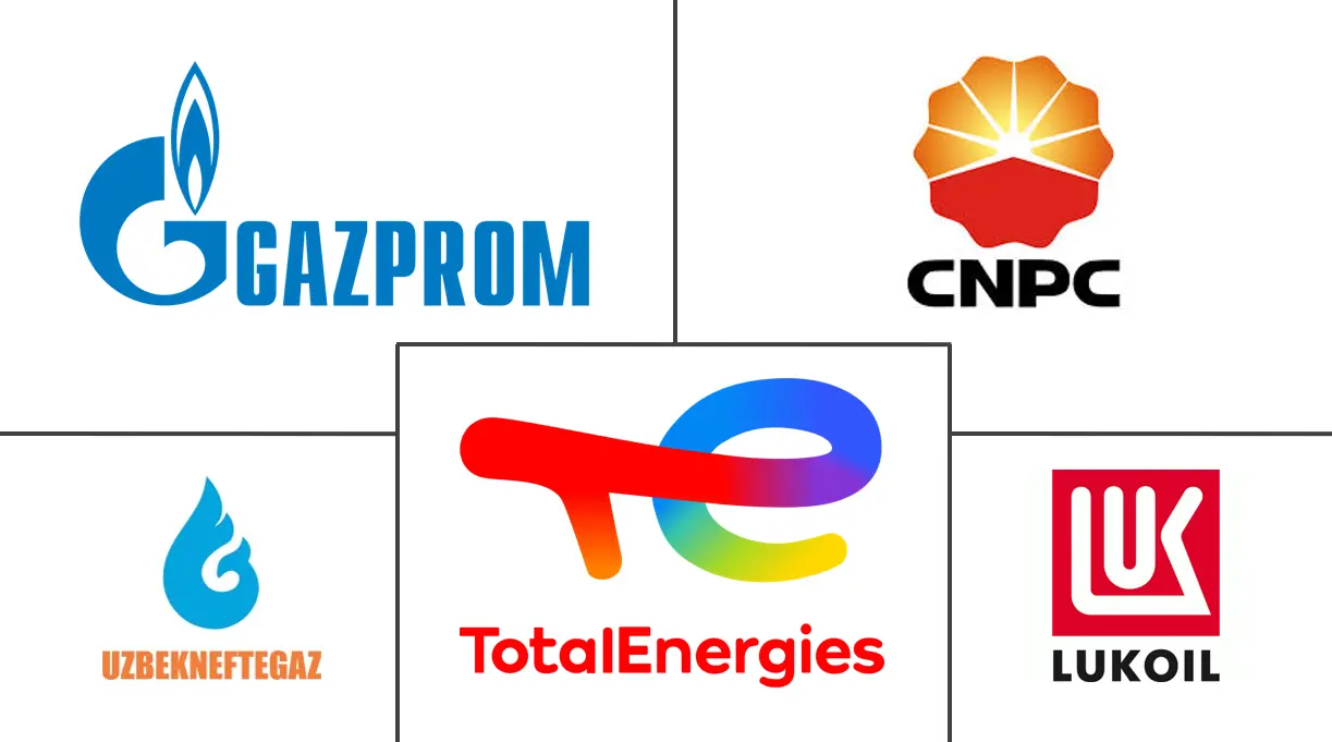 乌兹别克斯坦石油和天然气市场规模及份额