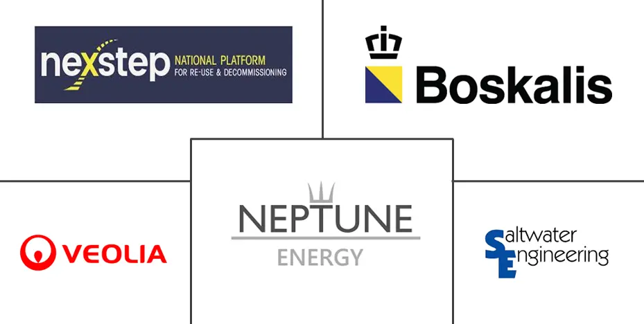 荷兰海上石油和天然气退役市场规模