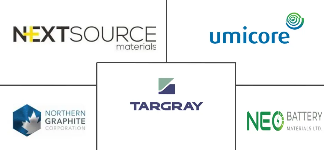 加拿大电动汽车电池负极市场规模