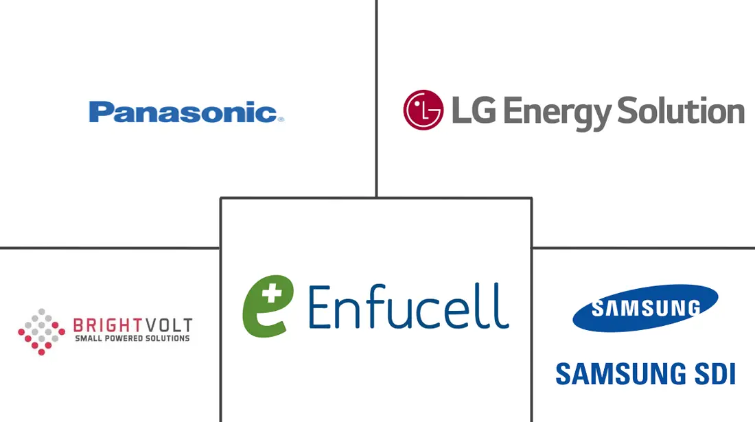灵活电池市场规模和份额