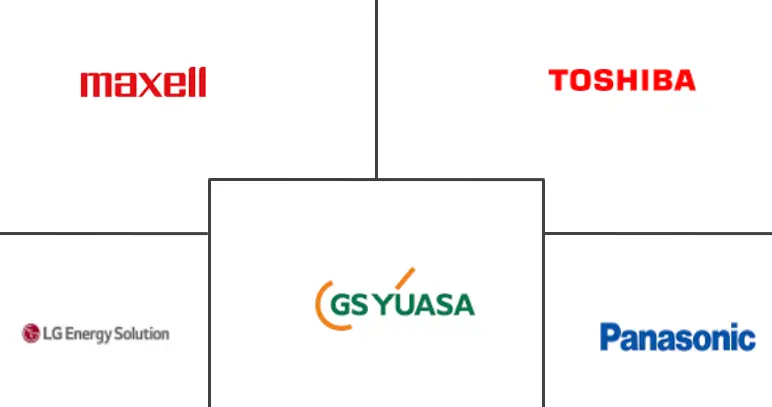 日本锂离子电池市场规模