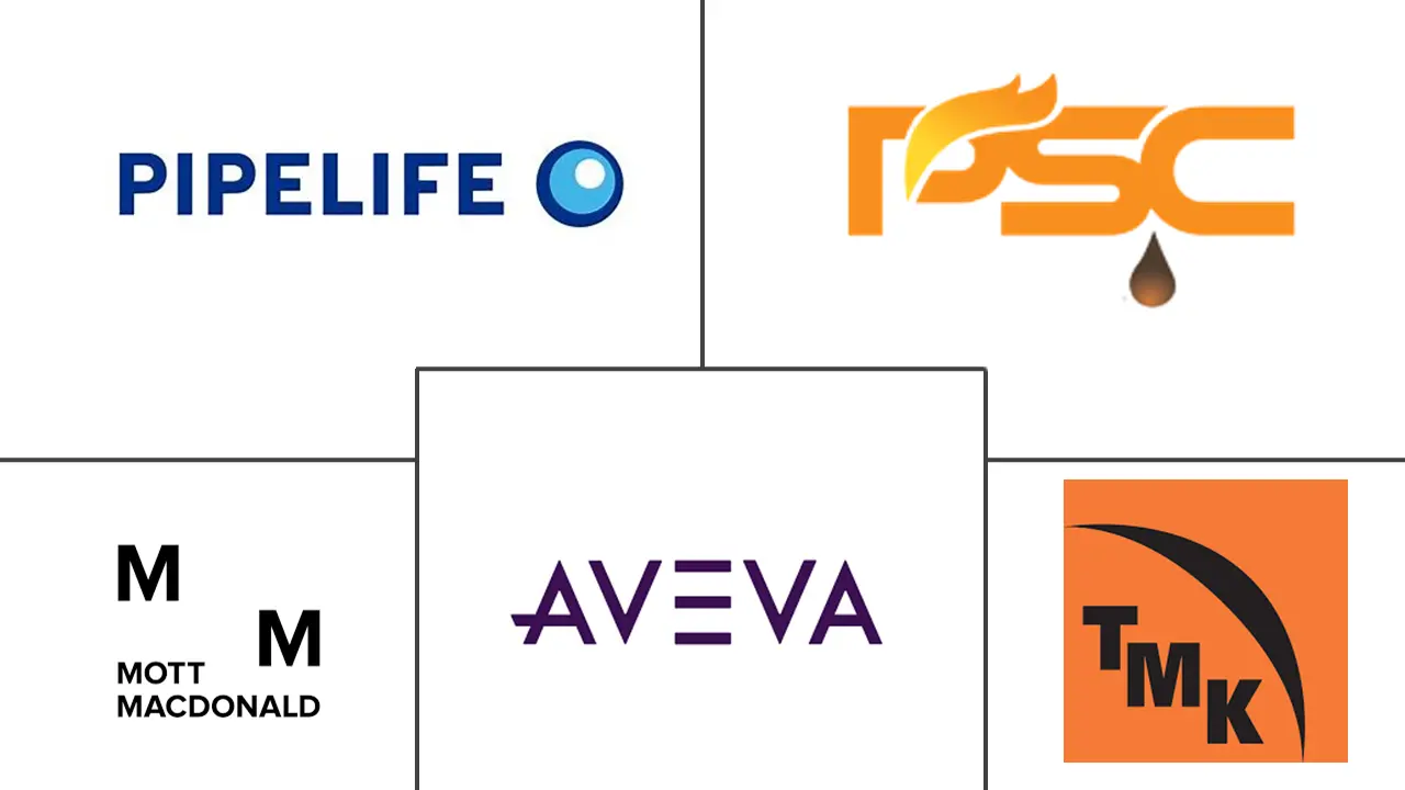 阿曼石油和天然气管道市场规模