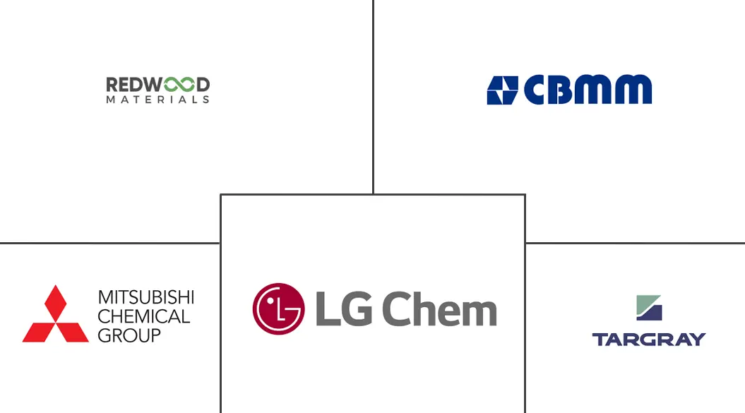 南美电动汽车电池负极市场规模