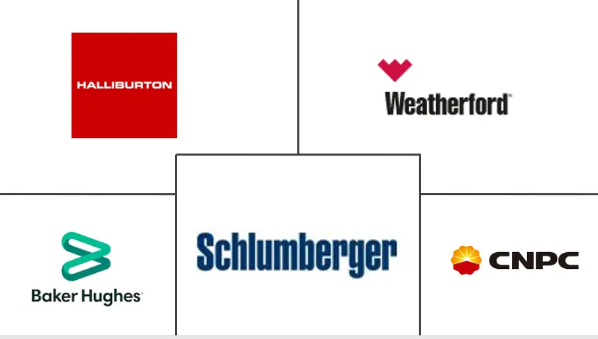 厄瓜多尔有线测井服务市场规模