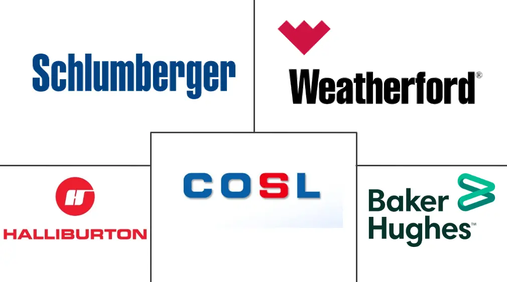 亚太地区钻井废物管理服务市场规模和份额分析