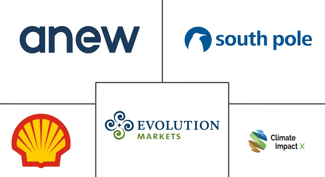 碳信用市场规模和份额