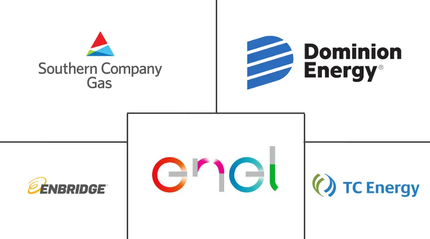 城市燃气配送市场规模