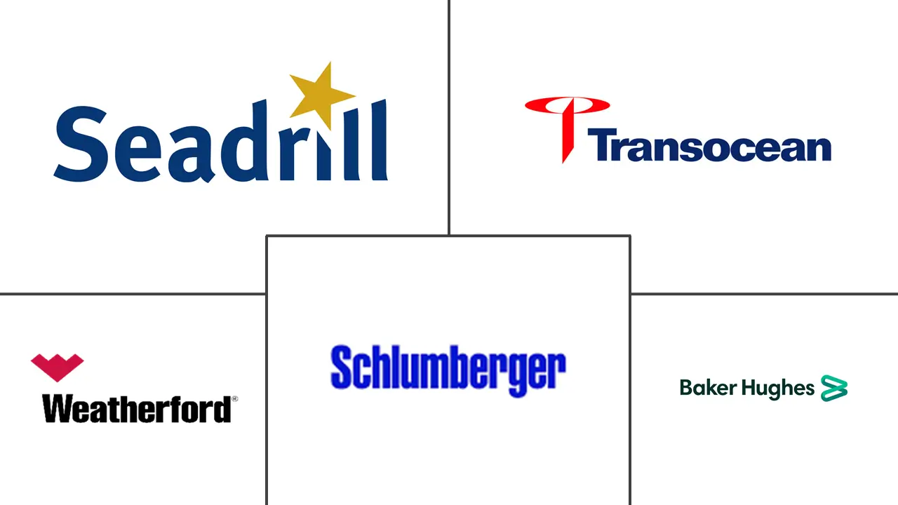 挪威油田设备租赁服务市场规模和份额分析