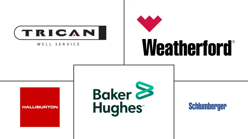 欧洲完井设备和服务市场规模和份额分析