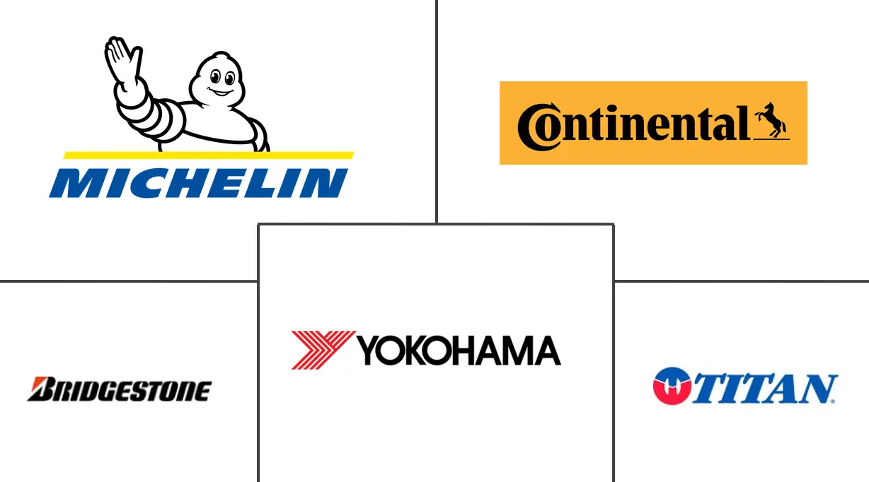 欧洲农用轮胎市场规模