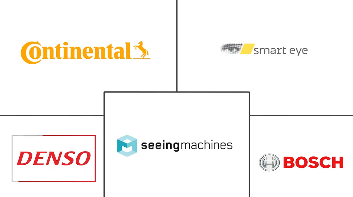 驾驶员安全市场规模和份额