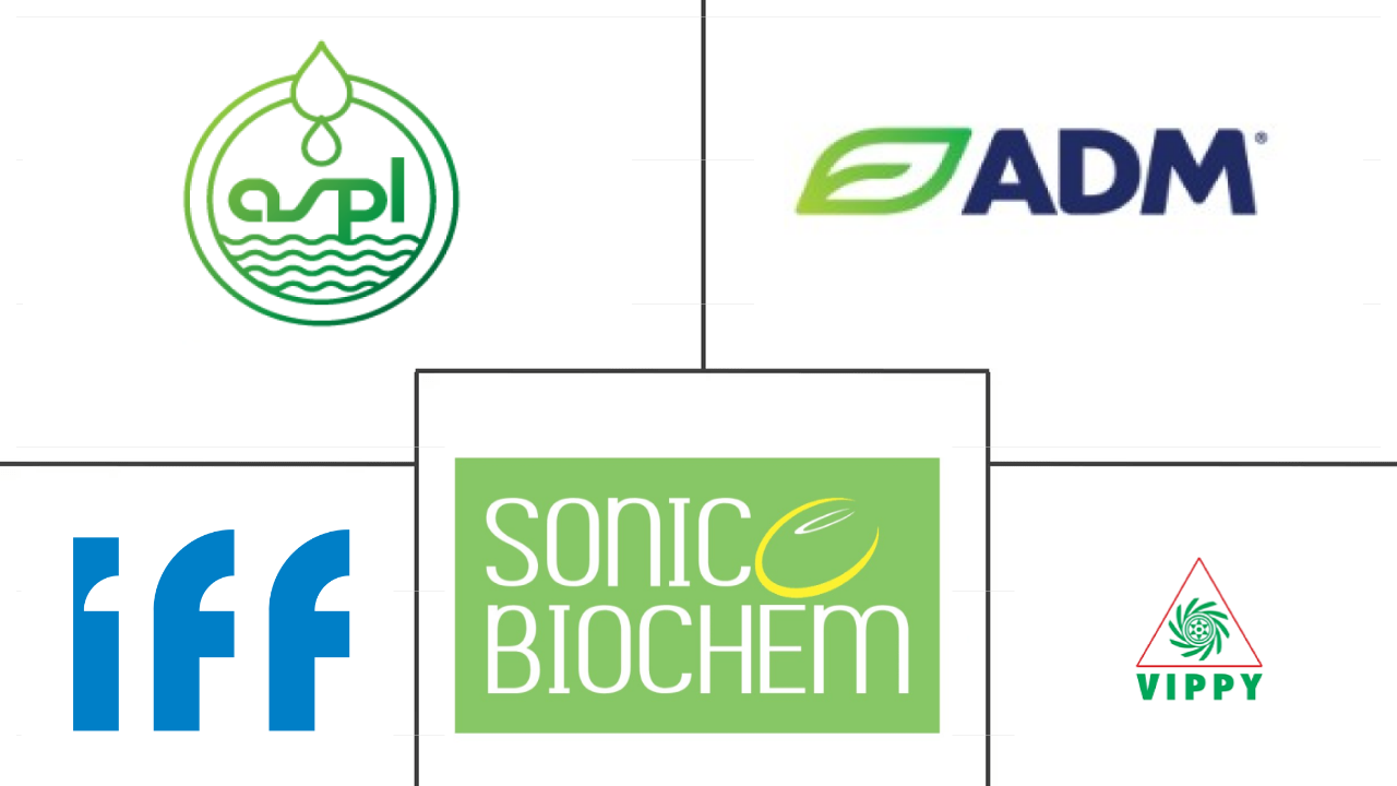 印度大豆蛋白市场规模