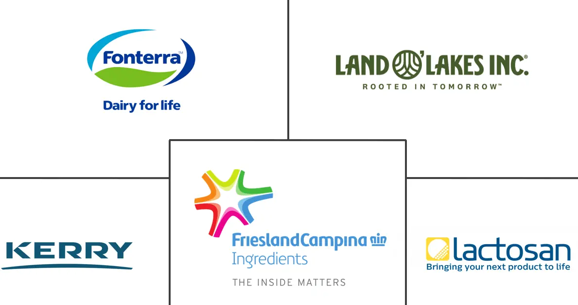 芝士粉市场规模及份额