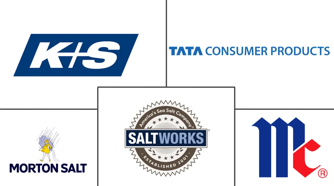 盐和调味盐市场规模和份额
