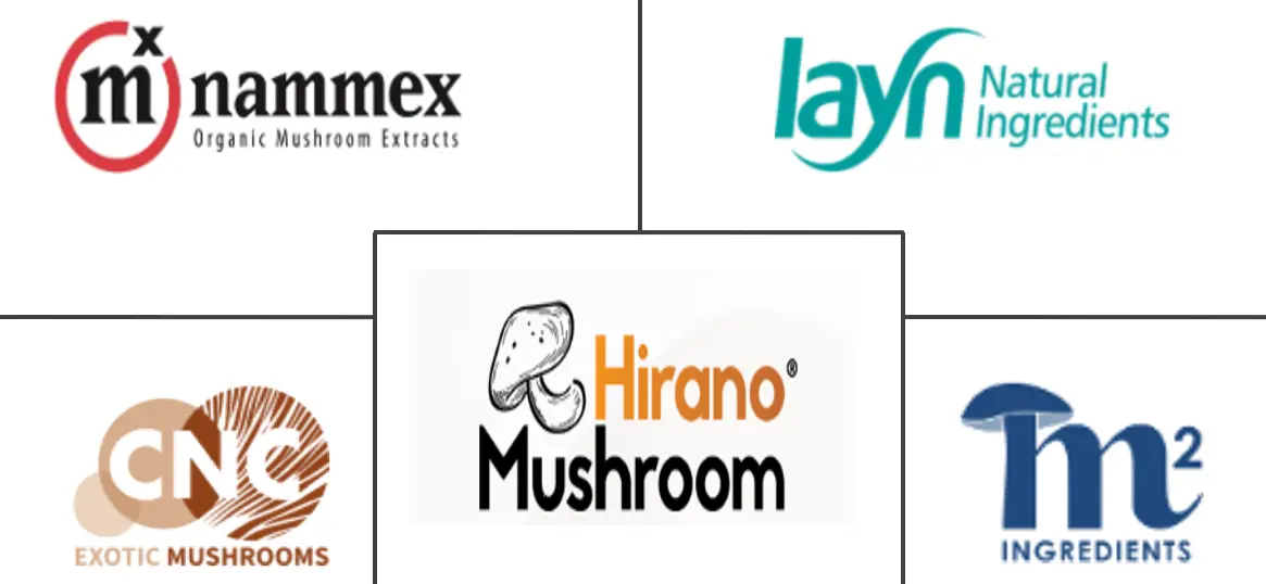 功能性蘑菇市场规模和份额