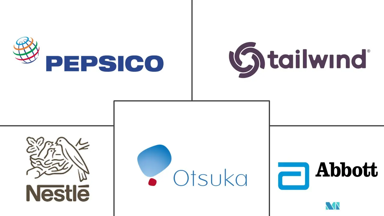 电解质混合物市场规模