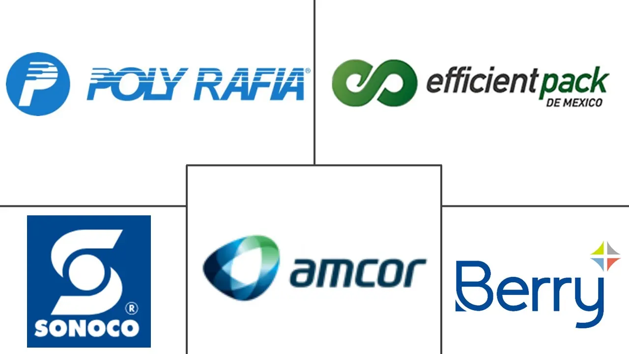 墨西哥袋包装市场规模