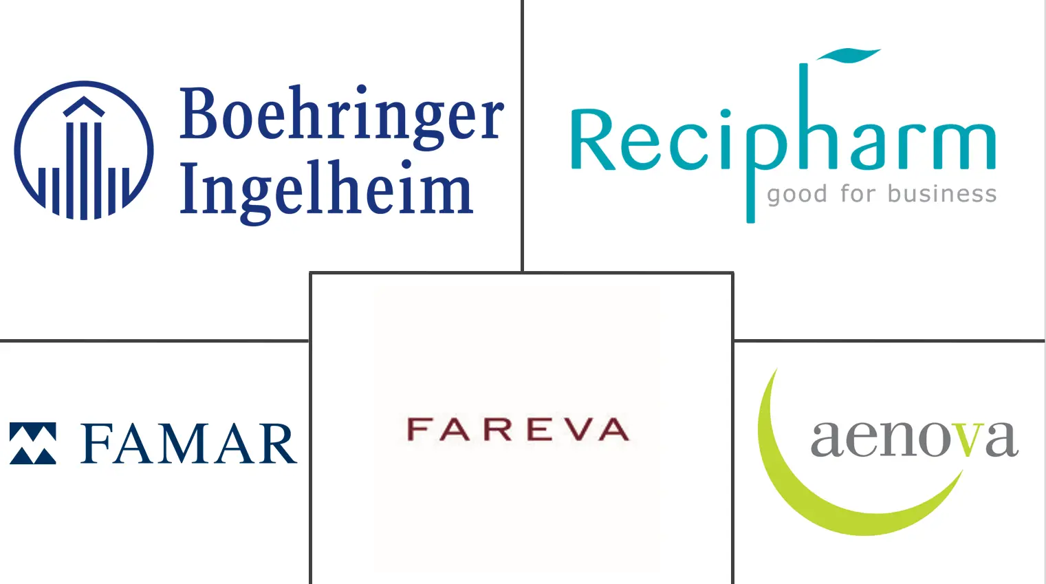 欧洲药品合同制造市场规模和份额分析