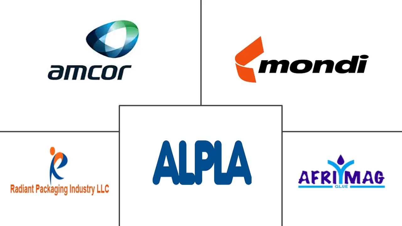 摩洛哥塑料包装薄膜市场规模