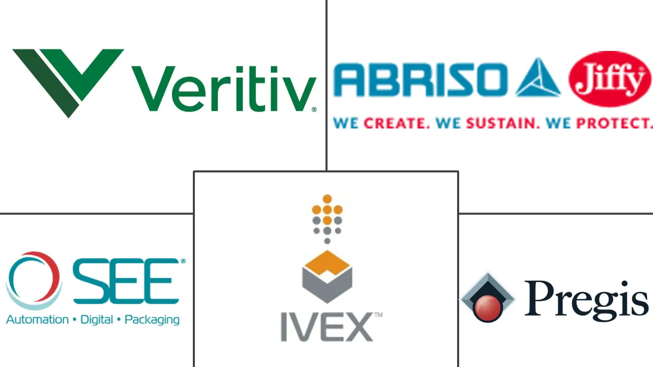气泡包装市场规模及份额