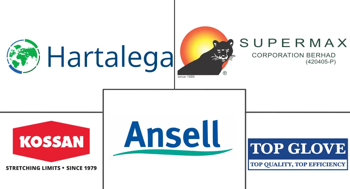 手套市场规模和份额