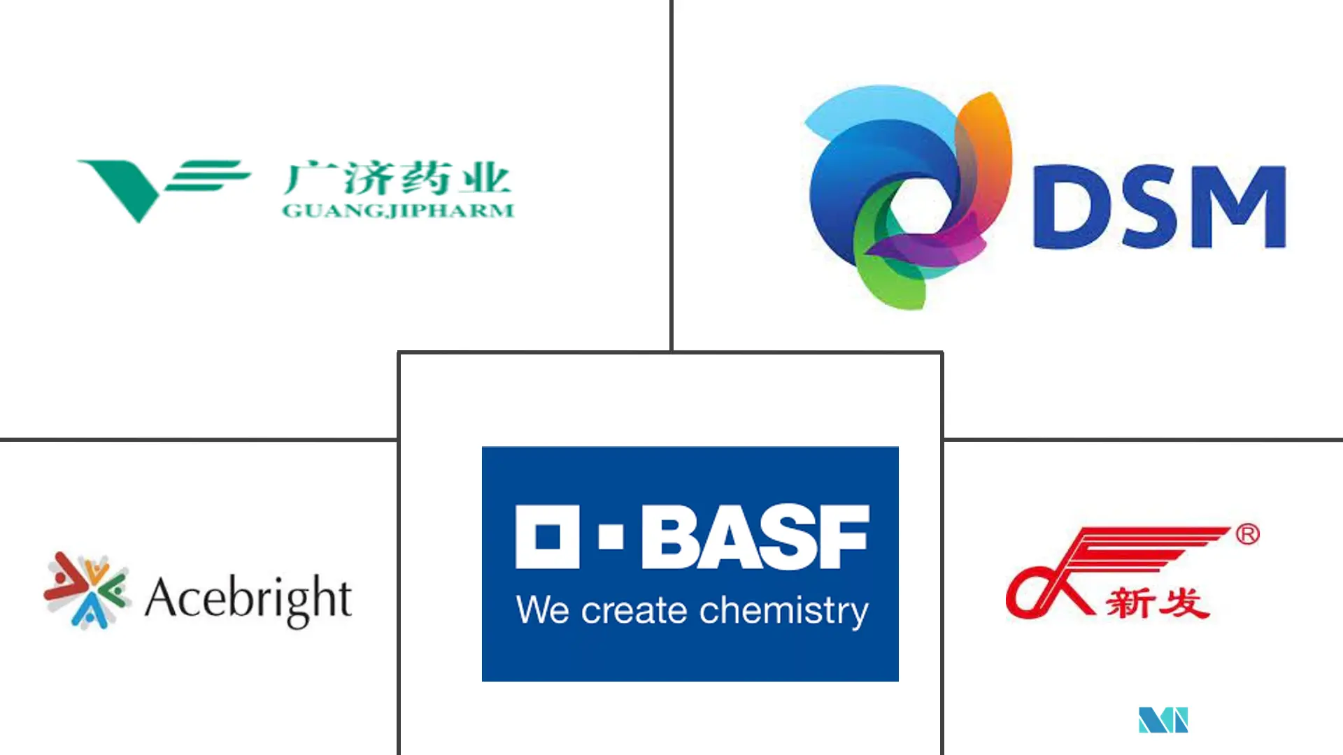 核黄素市场规模
