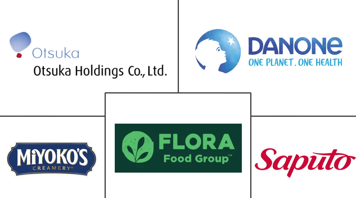 非乳制奶酪市场规模和份额