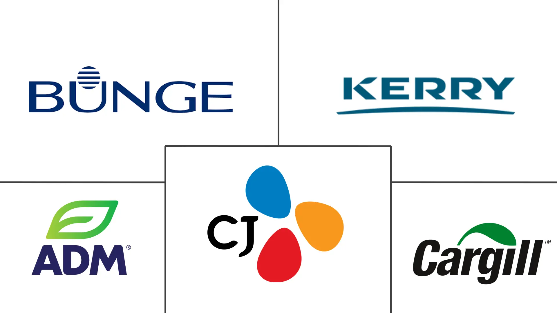 中国大豆蛋白市场规模