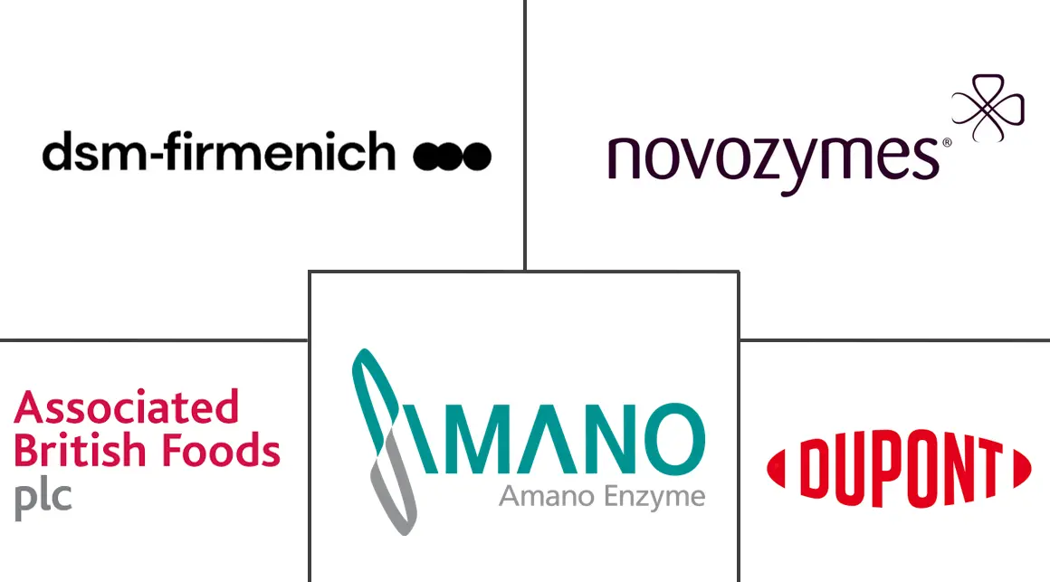 酿造酶市场规模和份额