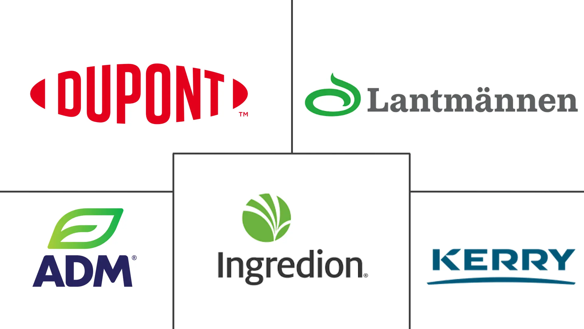 法国植物蛋白市场规模