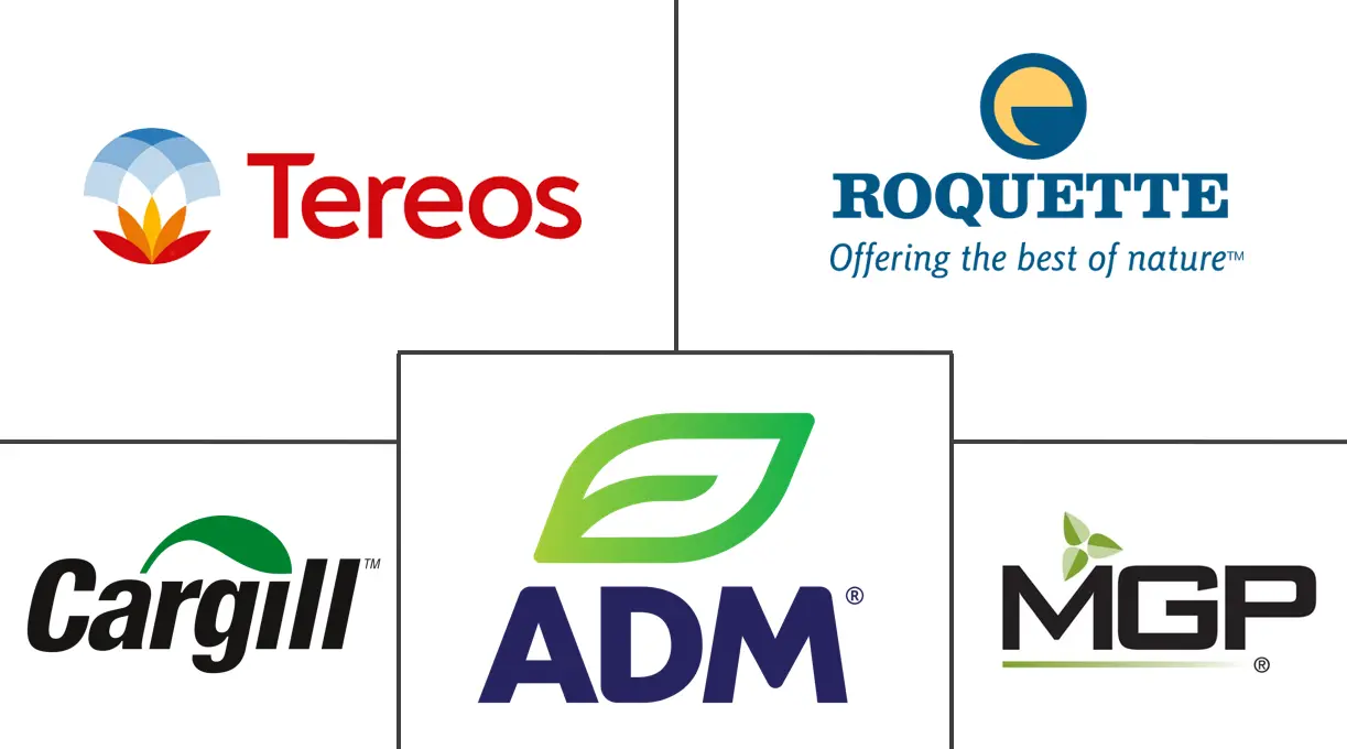 北美小麦蛋白市场规模和份额