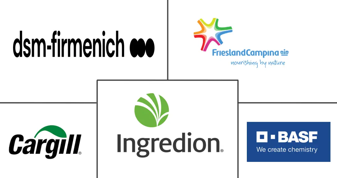 微胶囊食品配料市场规模和份额