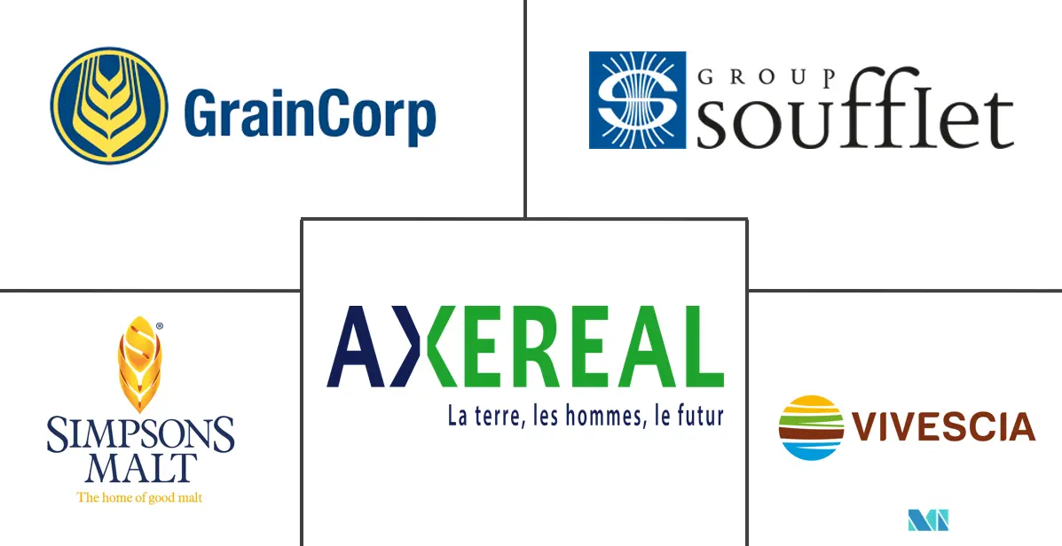 麦芽原料市场规模