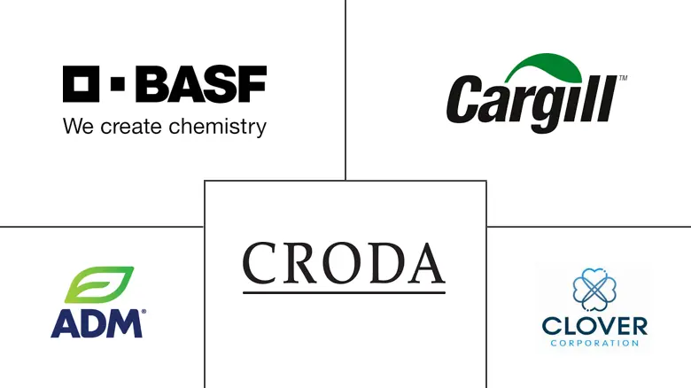 南美脂质市场规模