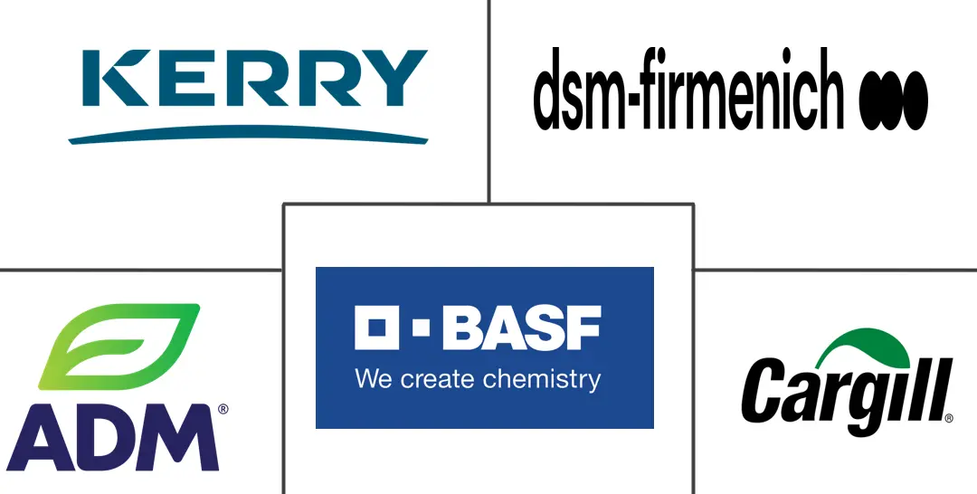 食品强化剂市场规模和份额