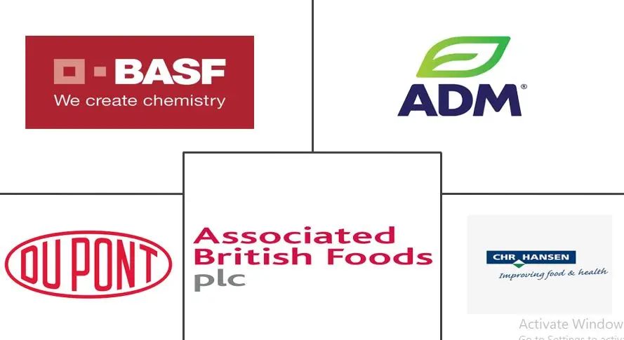 德国食品酶市场规模