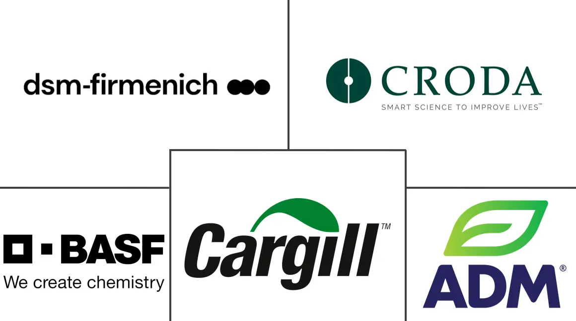 脂质市场规模和份额