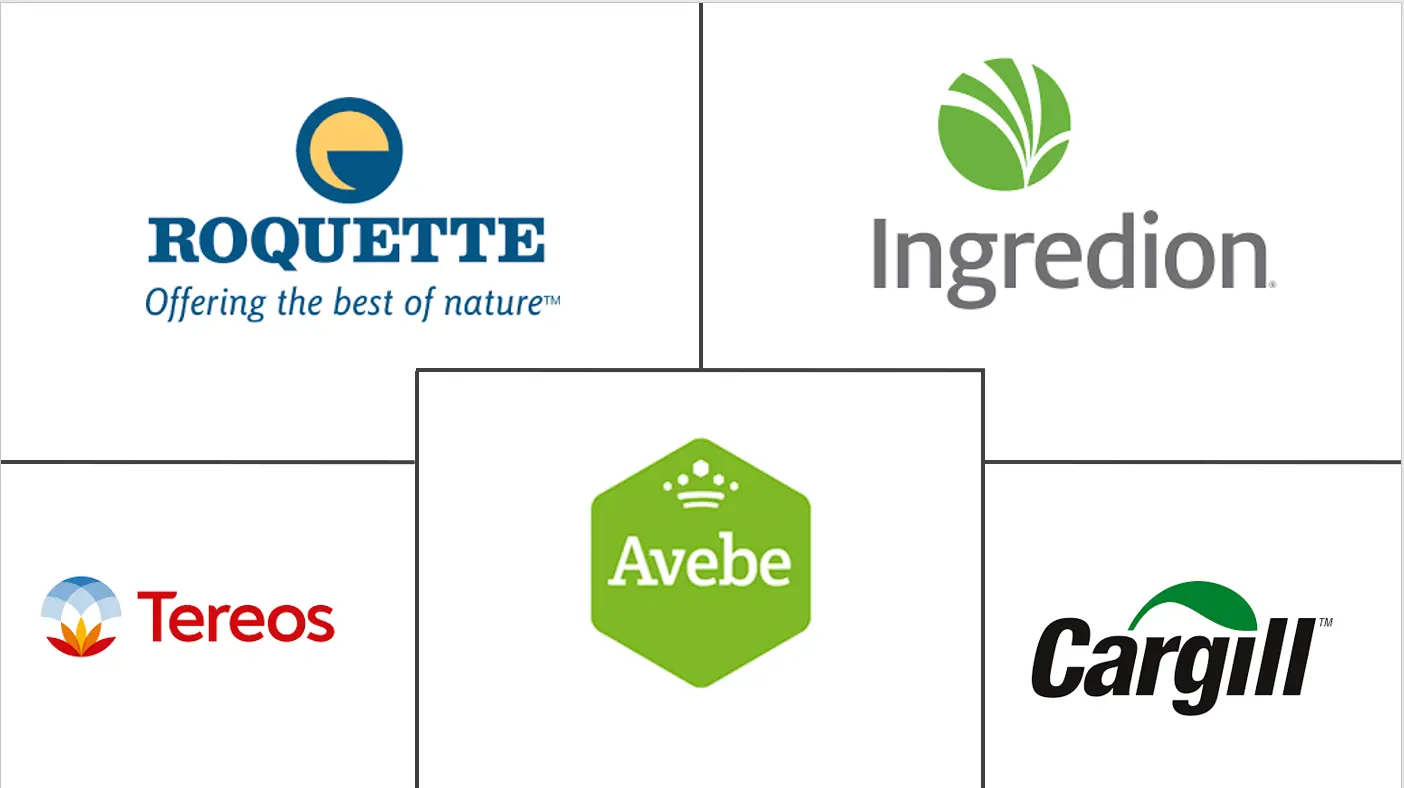 中国淀粉及淀粉衍生物市场规模