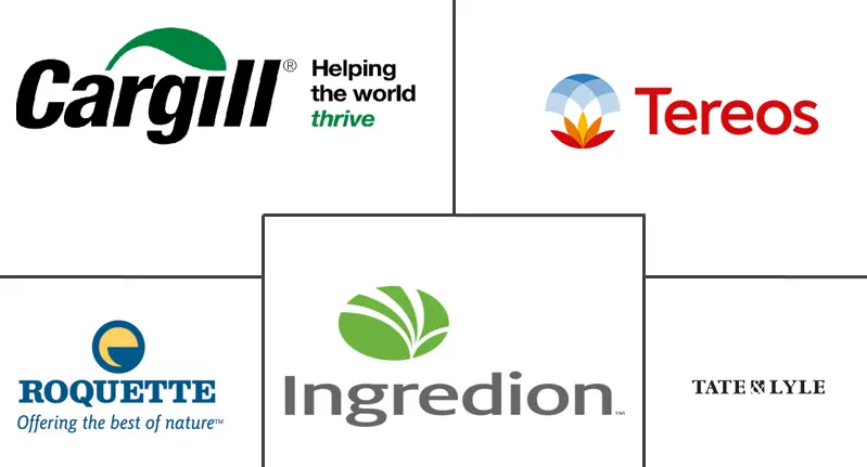 中国淀粉衍生品市场规模