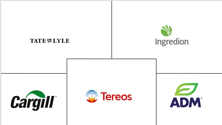 亚太地区淀粉甜味剂市场规模