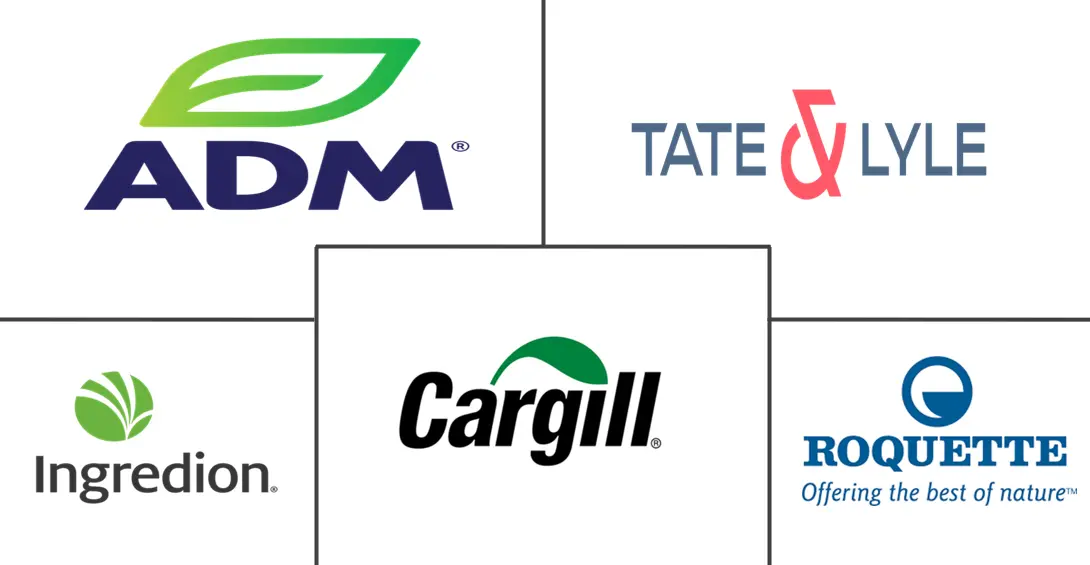 替代甜味剂市场规模和份额