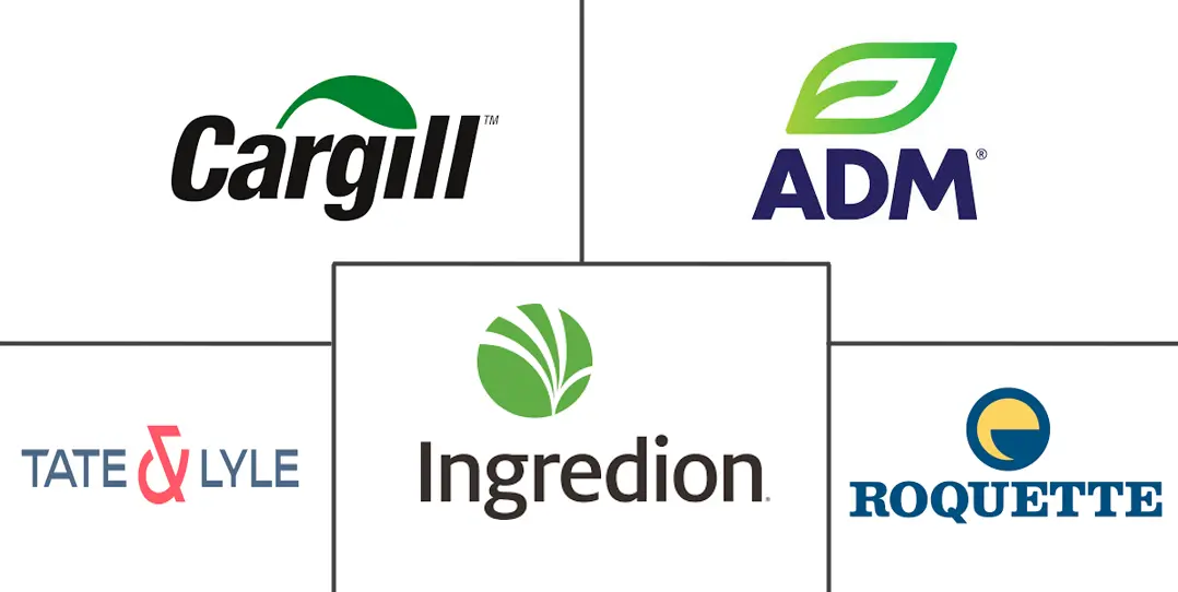 人造甜味剂市场规模和份额