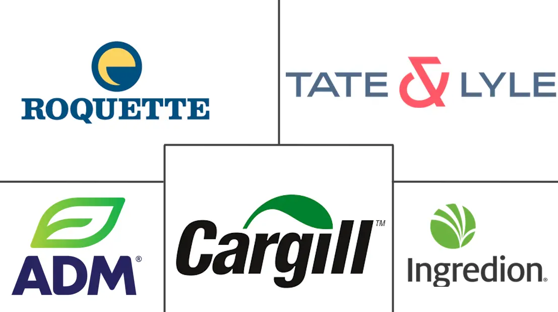 食品纤维市场规模和份额