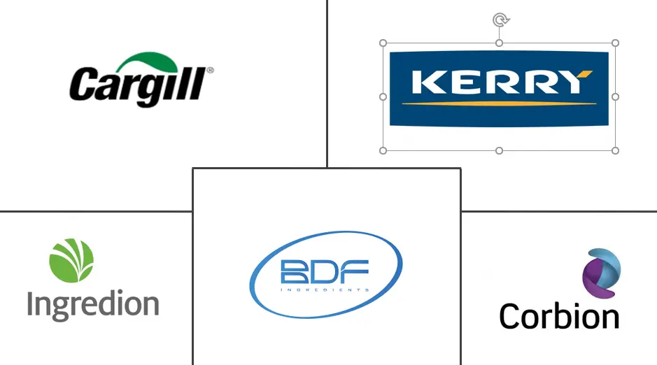 欧洲脂肪替代品市场规模