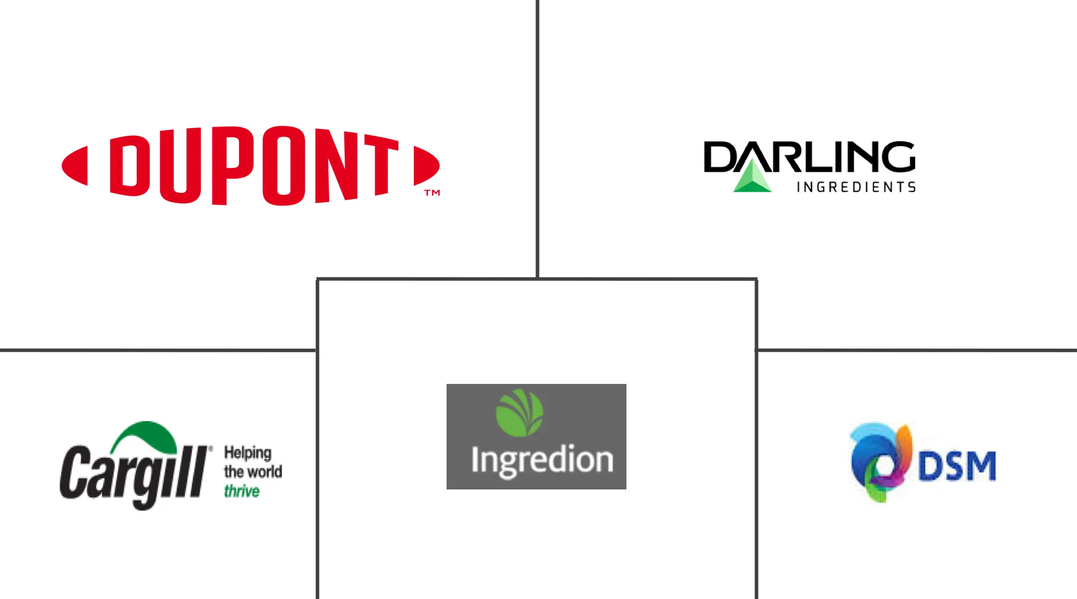 亚太地区淀粉衍生物市场规模